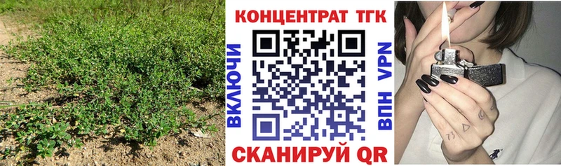 ТГК Wax  Барыш 
