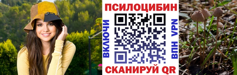 Псилоцибиновые грибы ЛСД  hydra сайт  Барыш 